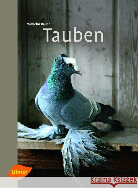 Tauben Bauer, Wilhelm 9783800179756 Ulmer (Eugen) - książka