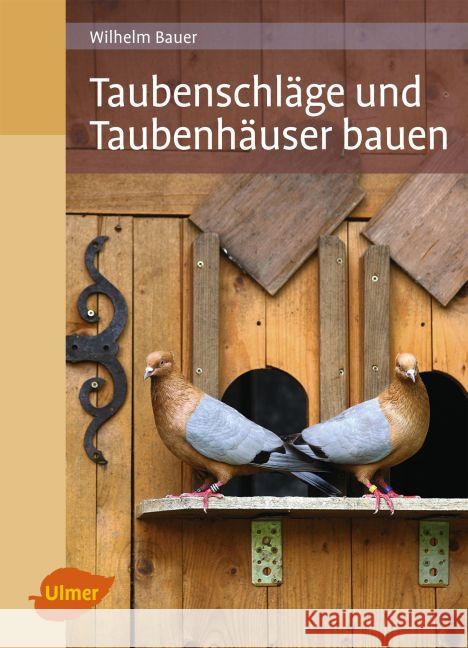 Taubenschläge und Taubenhäuser bauen Bauer, Wilhelm 9783800183593 Verlag Eugen Ulmer - książka