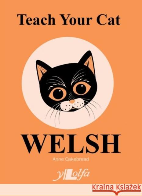 Teach Your Cat Welsh Anne Cakebread 9781912631087 Y Lolfa - książka