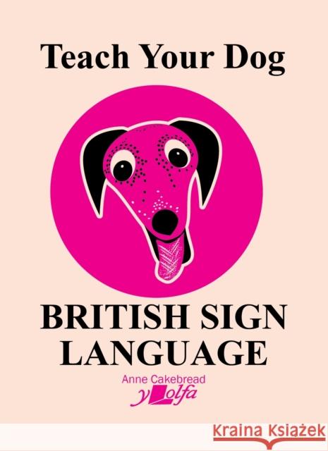 Teach Your Dog British Sign Language Anne Cakebread 9781912631582 Y Lolfa - książka