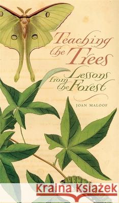 Teaching the Trees: Lessons from the Forest Maloof, Joan 9780820329550 University of Georgia Press - książka