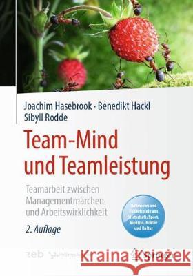 Team-Mind Und Teamleistung: Teamarbeit Zwischen Managementmärchen Und Arbeitswirklichkeit Hasebrook, Joachim 9783662620533 Springer Berlin Heidelberg - książka