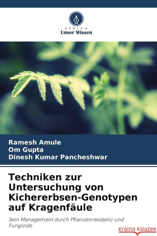 Techniken zur Untersuchung von Kichererbsen-Genotypen auf Kragenfäule Amule, Ramesh, Gupta, Om, Pancheshwar, Dinesh Kumar 9786208344641 Verlag Unser Wissen - książka