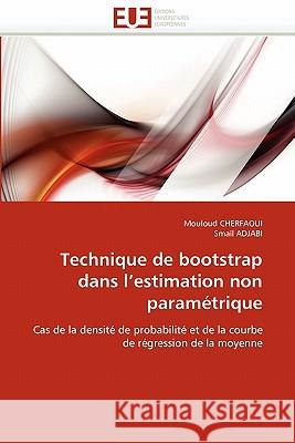 Technique de Bootstrap Dans l''estimation Non Paramétrique Collectif 9786131572227 Editions Universitaires Europeennes - książka