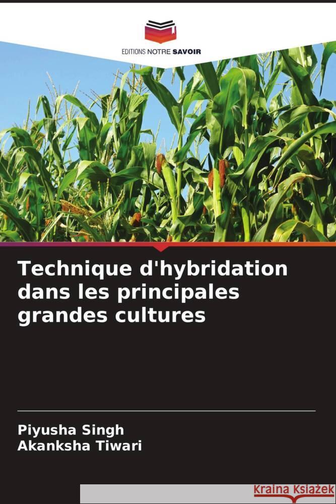 Technique d'hybridation dans les principales grandes cultures Piyusha Singh Akanksha Tiwari 9786206615576 Editions Notre Savoir - książka