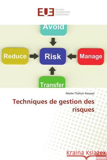 Techniques de gestion des risques Kassaye, Abebe Tilahun 9786139569649 Éditions universitaires européennes - książka