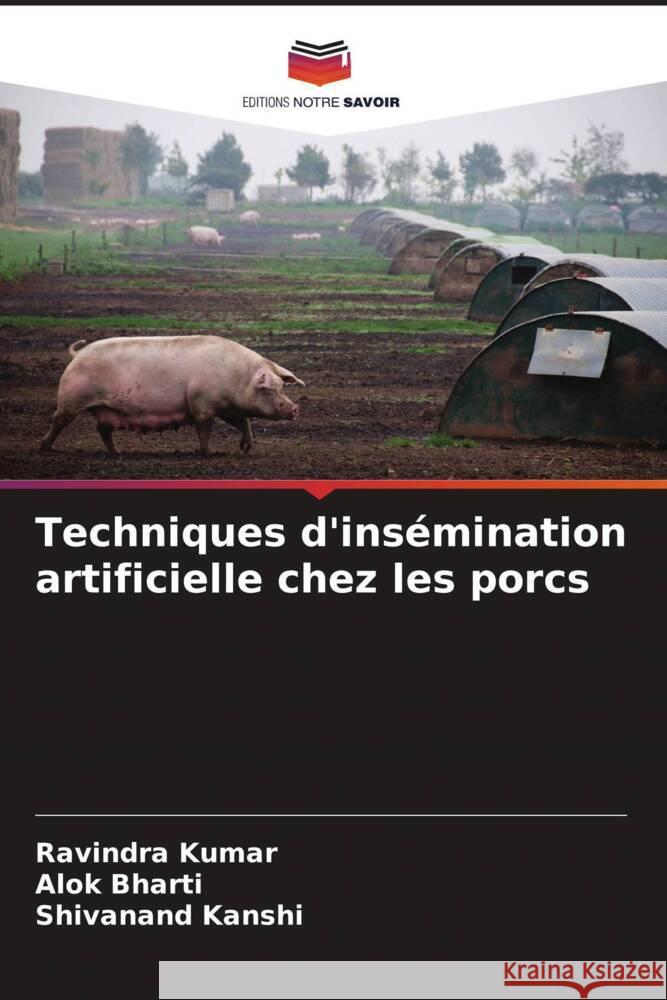 Techniques d'insémination artificielle chez les porcs Kumar, Ravindra, Bharti, Alok, Kanshi, Shivanand 9786205238059 Editions Notre Savoir - książka