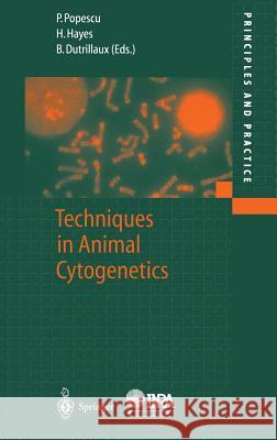 Techniques in Animal Cytogenetics Helene Hayes P. Popescu Paul Popescu 9783540667377 Springer - książka