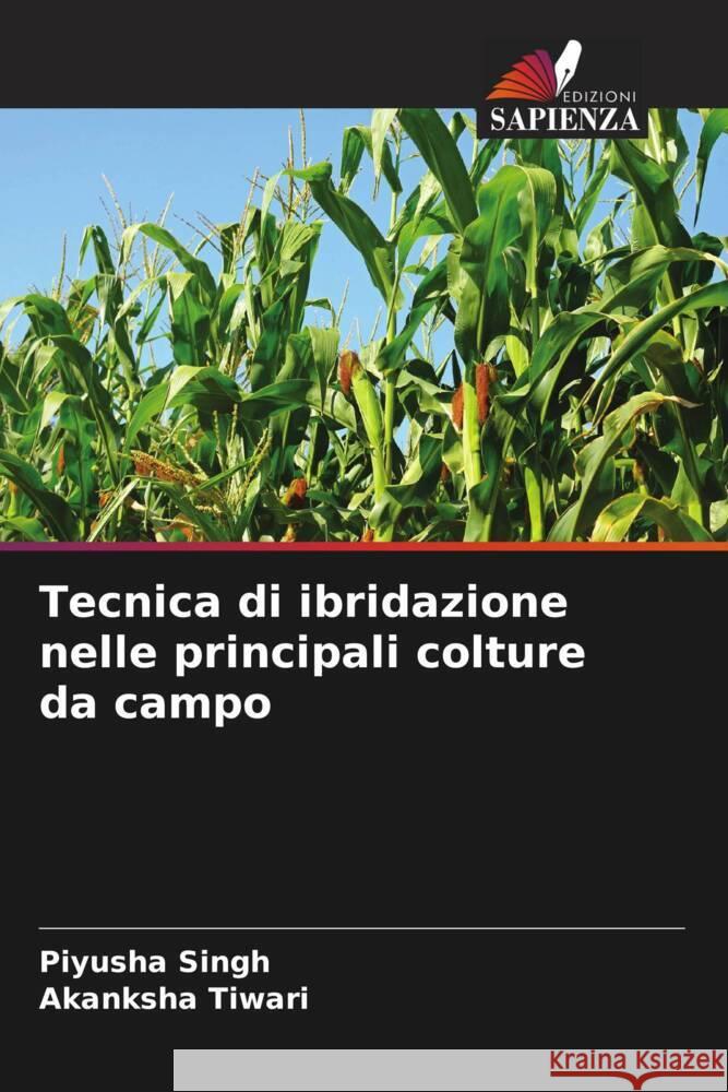 Tecnica di ibridazione nelle principali colture da campo Piyusha Singh Akanksha Tiwari 9786206615583 Edizioni Sapienza - książka