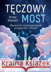 Tęczowy most Kristy Robinett 9788384172551 Illuminatio - książka