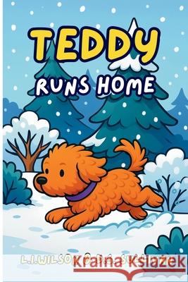 Teddy Runs Home D. S. Sullivan L. I. Wilson 9781997561354 Lake Promenade Press - książka