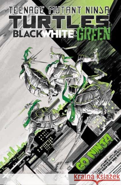 Teenage Mutant Ninja Turtles: Black, White, and Green Paulina Ganucheau 9798887241579 Idea & Design Works - książka