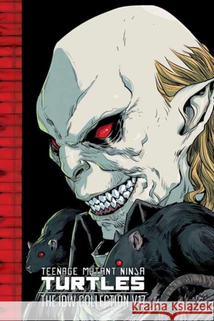 Teenage Mutant Ninja Turtles: The IDW Collection, Volume 17 Tom Waltz 9798887242736 Idea & Design Works - książka