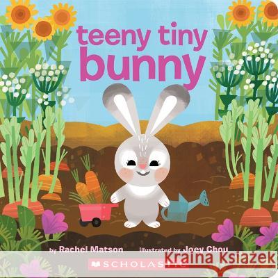 Teeny Tiny Bunny Rachel Matson Joey Chou 9781338893069 Cartwheel Books - książka