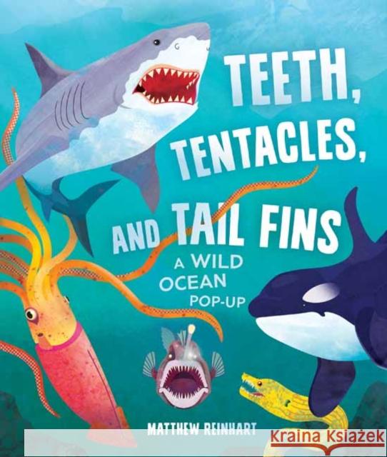 Teeth, Tentacles, and Tail Fins: A Wild Ocean Pop-Up Reinhart, Matthew 9781647227241 Insight Kids - książka