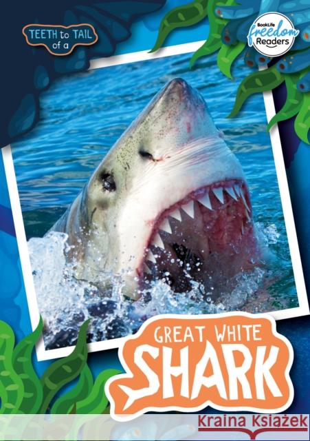 Teeth to Tail of a Great White Shark Robin Twiddy 9781801551304 BookLife Publishing - książka