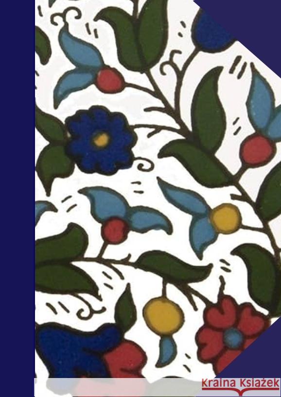 Tel Aviv Diary Student Haddad, Shachar 9783384266217 Elohically Publishings - książka