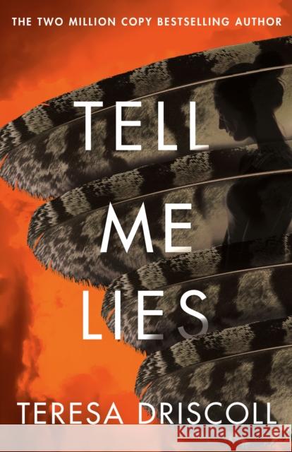 Tell Me Lies Teresa Driscoll 9781662504983 Amazon Publishing - książka