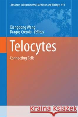 Telocytes: Connecting Cells Wang, Xiangdong 9789811010606 Springer - książka