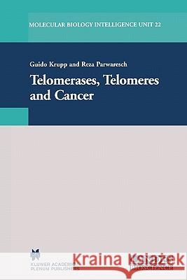 Telomerases, Telomeres and Cancer Guido Krupp Reza Parwaresch 9781441933911 Not Avail - książka