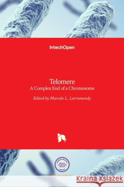 Telomere: A Complex End of a Chromosome Marcelo L. Larramendy 9789535127529 Intechopen - książka