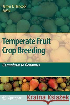 Temperate Fruit Crop Breeding: Germplasm to Genomics Hancock, Jim F. 9781402069062 Not Avail - książka