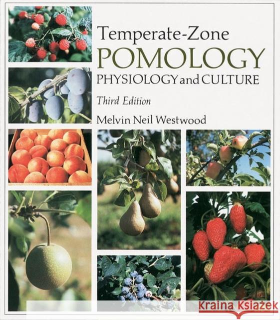 Temperate-Zone Pomology: Physiology and Culture Westwood, Melvin Neil 9781604690705 Timber Press (OR) - książka