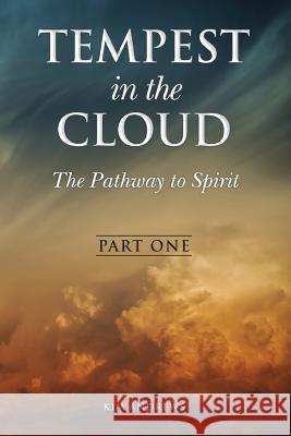 Tempest in the Cloud: The Pathway to Spirit Kim B. Andrews 9780692041444 Aaron Anderson - książka