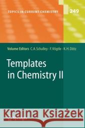 Templates in Chemistry II Christoph A. Schalley 9783642062018 Not Avail - książka