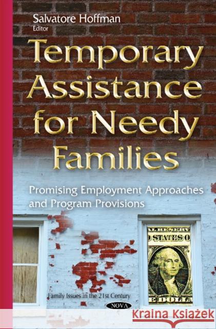 Temporary Assistance for Needy Families: Promising Employment Approaches & Program Provisions Salvatore Hoffman 9781634826129 Nova Science Publishers Inc - książka