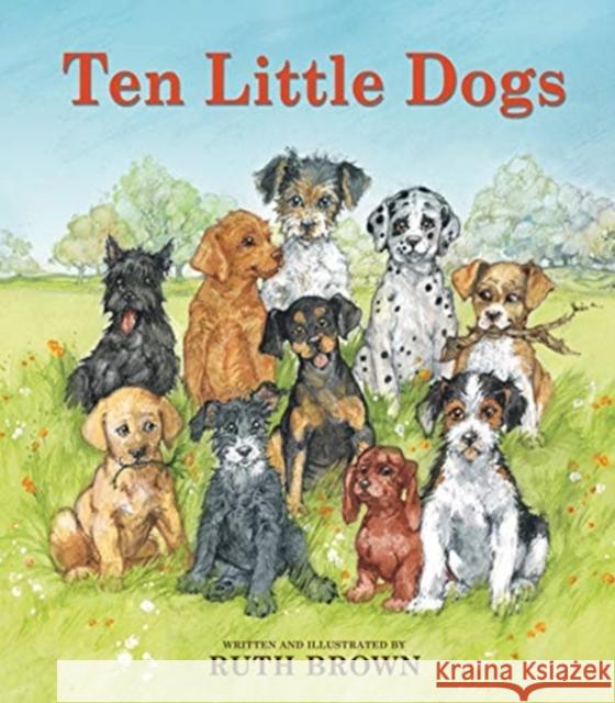 Ten Little Dogs Ruth Brown 9781912650538 Scallywag Press - książka