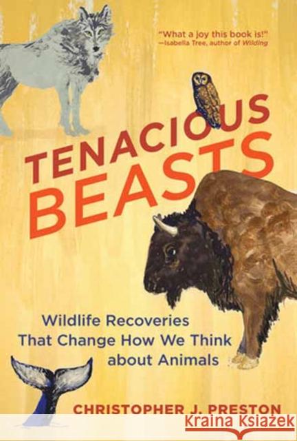 Tenacious Beasts: Wildlife Recoveries That Change How We Think about Animals  9780262548335 MIT Press Ltd - książka