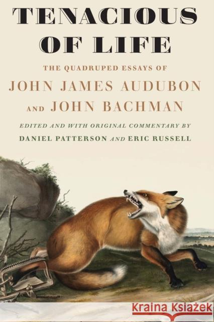 Tenacious of Life: The Quadruped Essays of John James Audubon and John Bachman John James Audubon John Bachman Daniel Patterson 9781496213341 University of Nebraska Press - książka