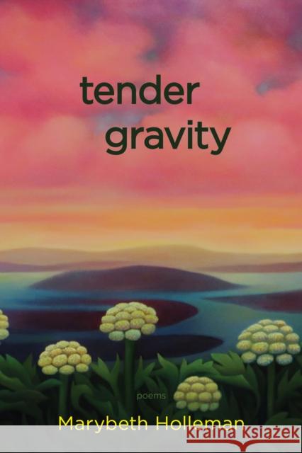 tender gravity Marybeth Holleman 9781597099370 Red Hen Press - książka