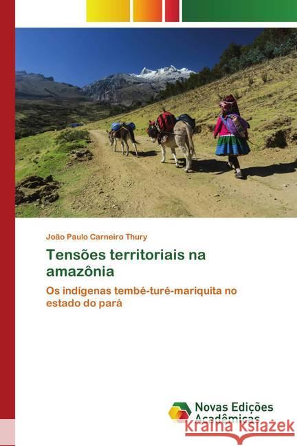 Tensões territoriais na amazônia Thury, João Paulo Carneiro 9786202562348 Novas Edicioes Academicas - książka