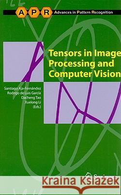 Tensors in Image Processing and Computer Vision Santiago Aja-Fernandez Rodrigo De Luis Garca-A Dacheng Tao 9781848822986 Springer - książka