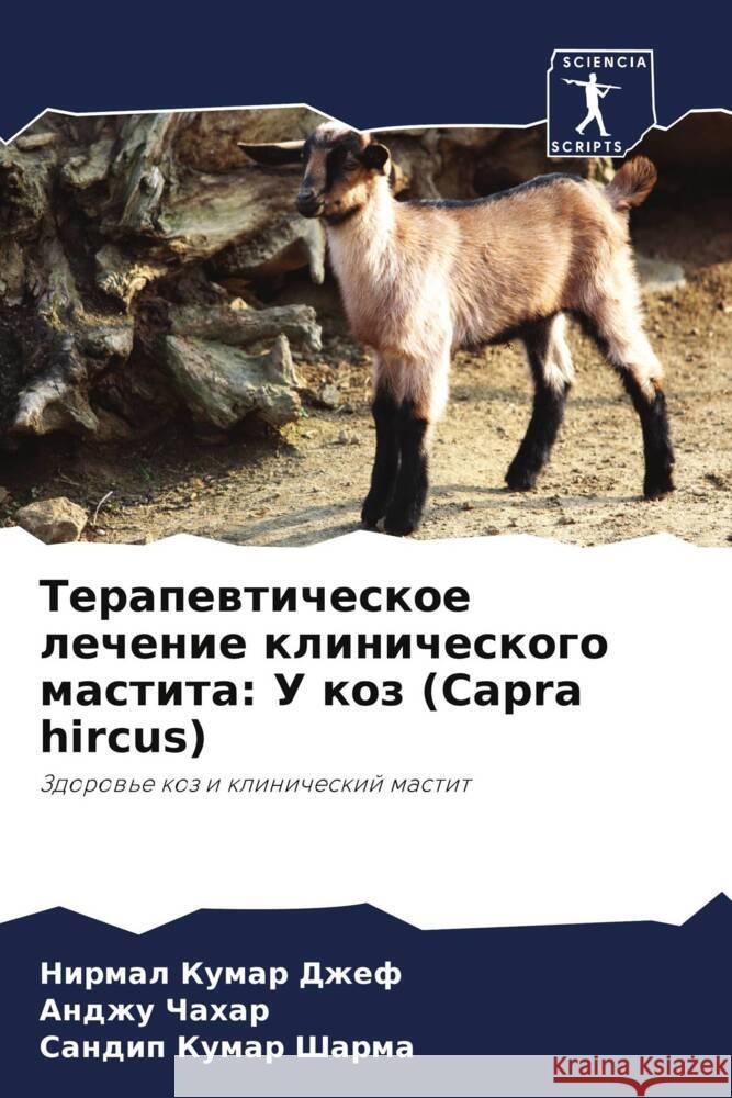 Terapewticheskoe lechenie klinicheskogo mastita: U koz (Capra hircus) Dzhef, Nirmal Kumar, Chahar, Andzhu, Sharma, Sandip Kumar 9786206965954 Sciencia Scripts - książka