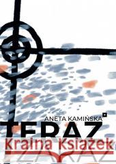 Teraz zaraz Aneta Kamińska 9788366584488 Fundacja Duży Format - książka