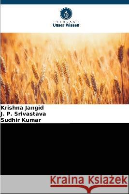 Terminaler Hitzestress bei Weizen: Analyse der Ertragsfähigkeit Jangid, Krishna 9786205285664 Verlag Unser Wissen - książka