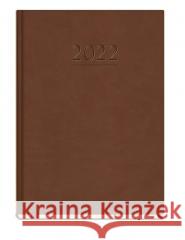 Terminarz 2022 Popularny Brąz T-209V-S2  5906858016116 Michalczyk i Prokop - książka