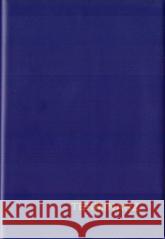 Terminarz 2026 A6 Mini MIX  5905858920164 Prolog kalendarze - książka