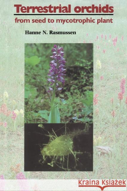 Terrestrial Orchids: From Seed to Mycotrophic Plant Rasmussen, Hanne N. 9780521451659 Cambridge University Press - książka