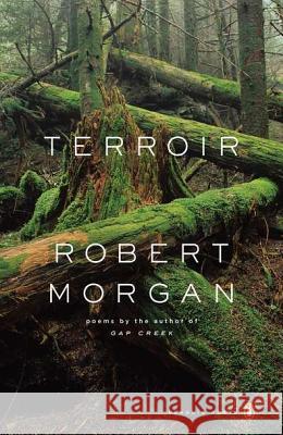 Terroir Robert Morgan 9780143120193 Penguin Books - książka