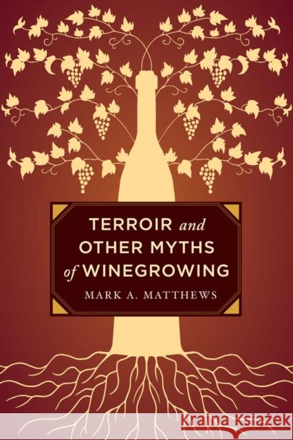 Terroir and Other Myths of Winegrowing Mark A. Matthews 9780520276956 University of California Press - książka