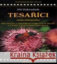 Tesaříci (makrofotografie) Jiří Zahradník 9788074420603 Aventinum - książka