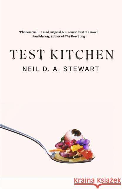 Test Kitchen Neil D. A. Stewart 9781472158246 Little, Brown - książka