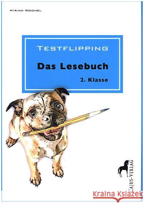 Testflipping. Das Lesebuch 2. Klasse Reichel, Miriam 9783945176030 Cajus Verlag - książka