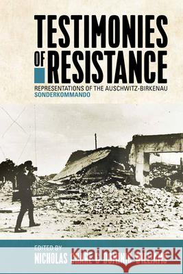 Testimonies of Resistance: Representations of the Auschwitz-Birkenau Sonderkommando  9781789203417 Berghahn Books - książka