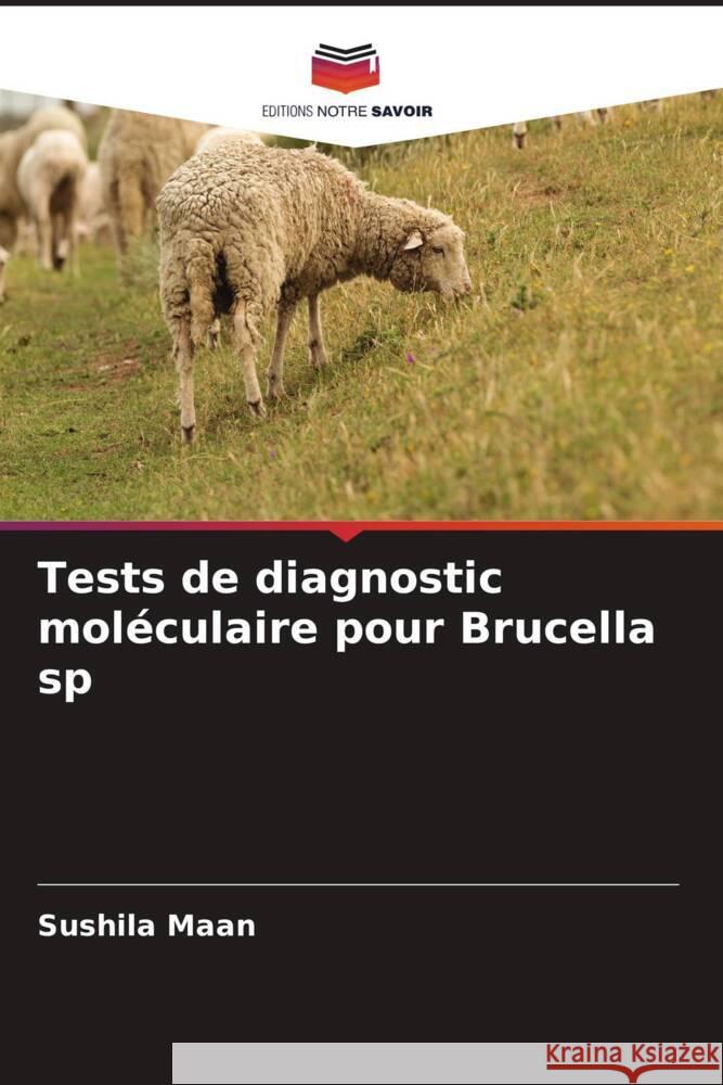Tests de diagnostic moléculaire pour Brucella sp Maan, Sushila 9786205447789 Editions Notre Savoir - książka
