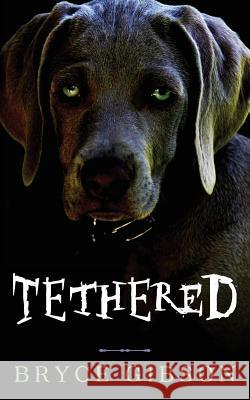 Tethered: County Line Horror #4 Bryce Gibson 9781095144053 Independently Published - książka